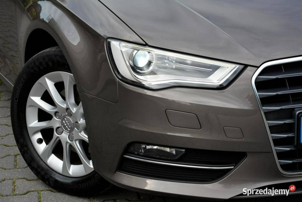 Audi A3 16TDI105 bixenon Ledy Navi Parktronic Ostrów Mazowiecka