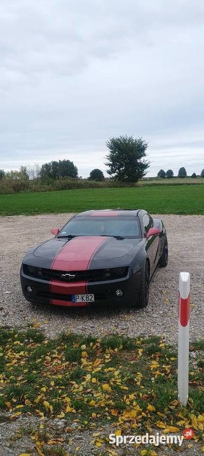 Chevrolet Camaro 2013 Rok produkcji 2013 Camaro Swarzędz