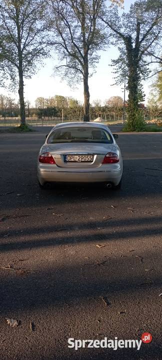 Jaguar czy Audi oto jest pytanie Chocianów sprzedam
