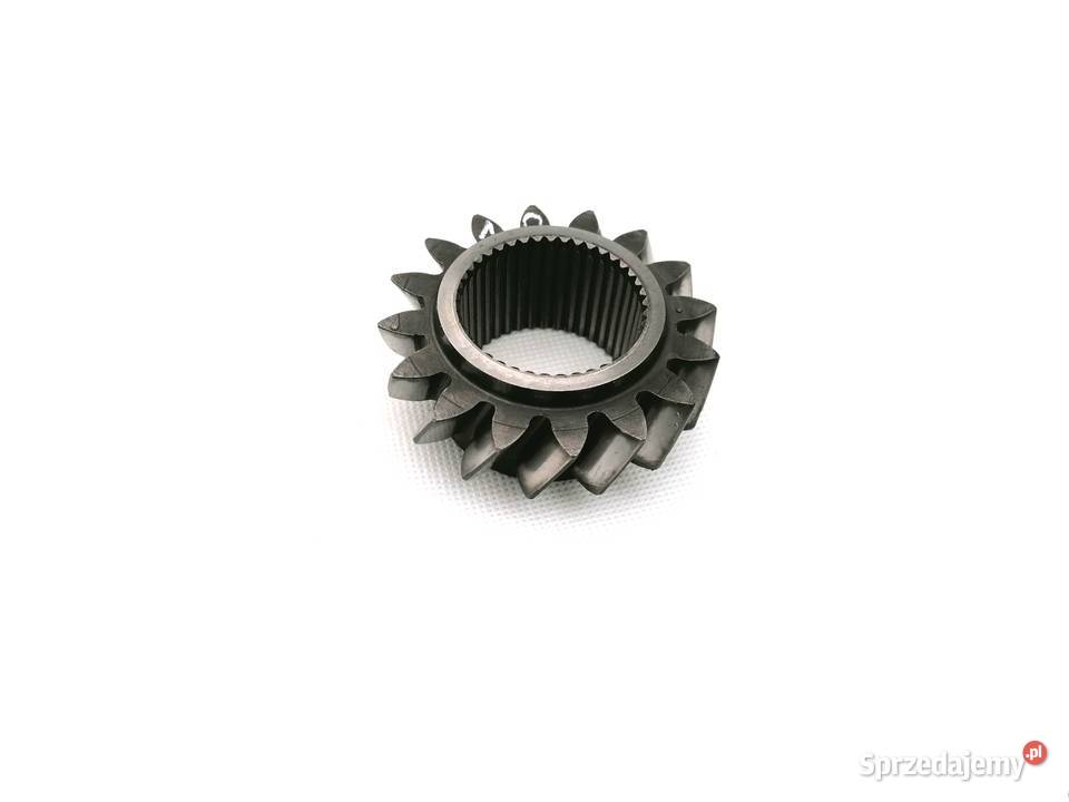 Koło zębate Renault 113141201413314 Zajęczniki