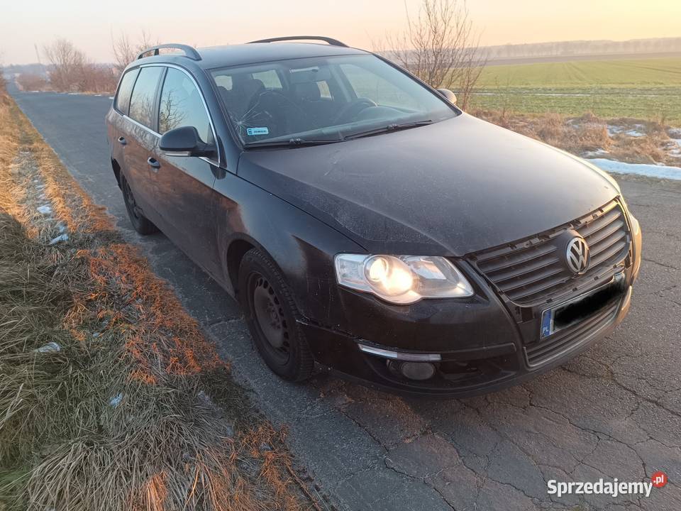 Tani wół roboczy Tarnawa Rzepińska