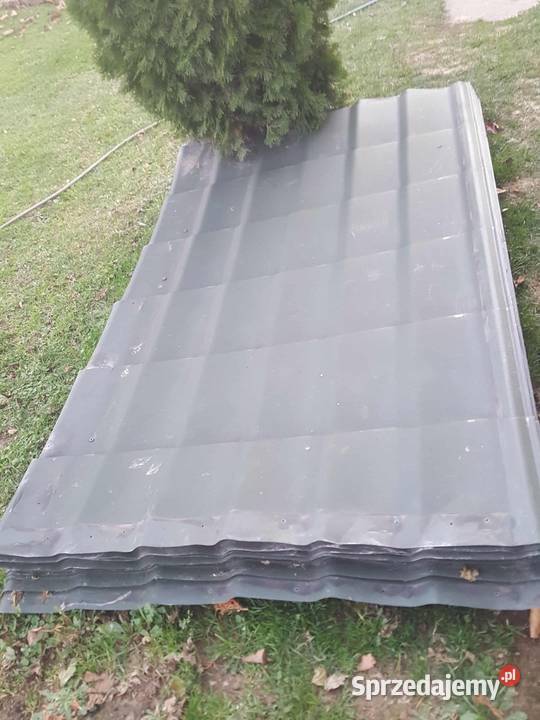 Blachodachwka zielona Jodłowa