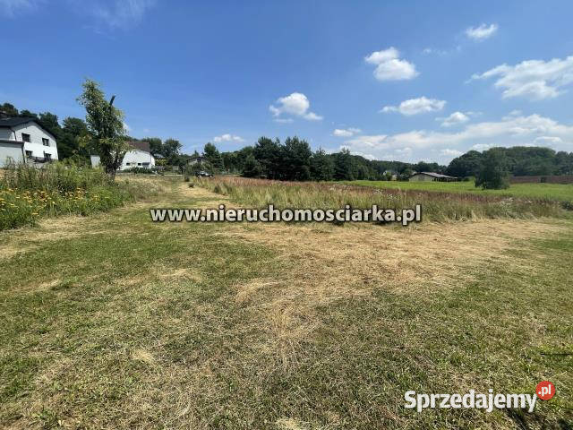 Działka do sprzedania Skrzyszów 3498m2