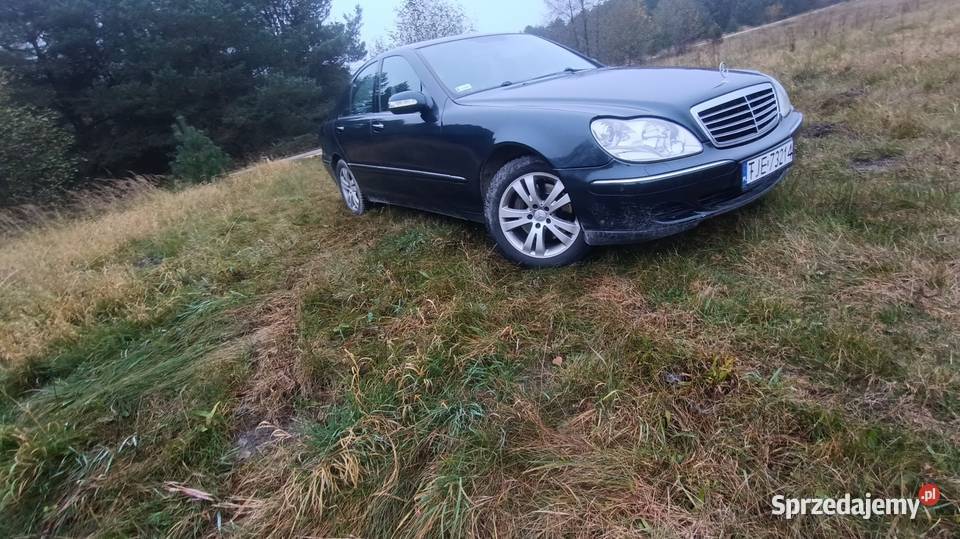 S320 32 CDI 204 konie myślę że stan świętokrzyskie Małogoszcz