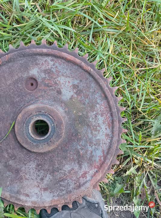 Koło zębate rozrzutnik Augustów