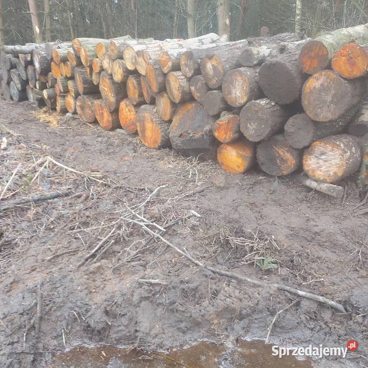 TANIO Olcha Kominkowe opalowe do wędzenia