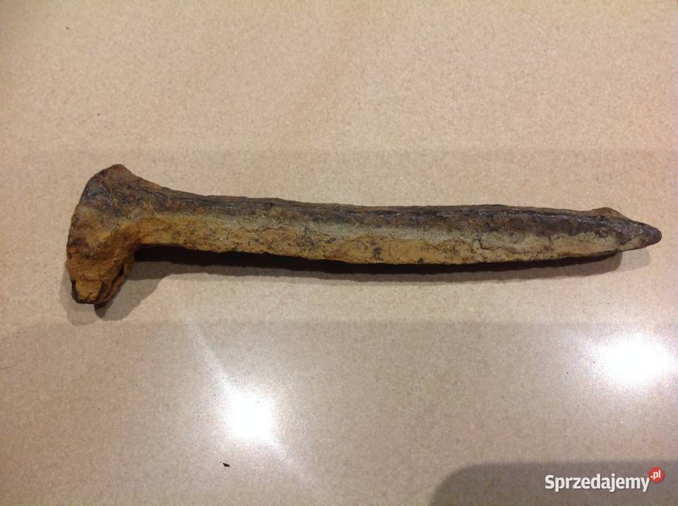 Duży Gwóźdź Kuty Zabytkowy Stary lubuskie Nowa Sól sprzedam