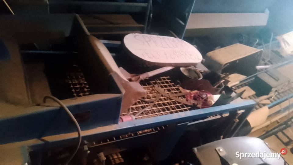 Sortownik krukowiak Gawron kombajn ziemniaczany Krukowiak Sortowniki Siedlce
