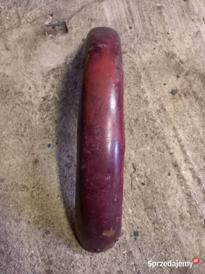 Blotnik przedni komar sztywniak Sokołów Podlaski