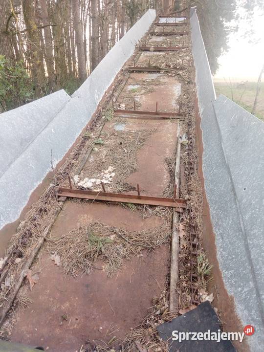 Podajnik przenośnik Transporter 8m Jasionka sprzedam