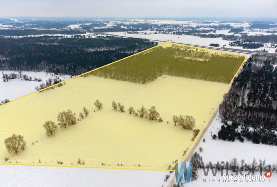 sprzedaży działki Śródborze 128499m2 605m