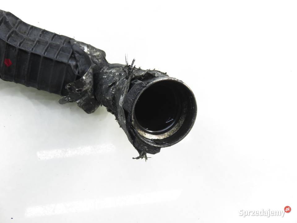 RURA INTERCOOLERA DACIA DOKKER 15 dCi 144609034R małopolskie