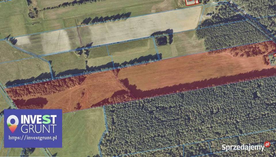 2370 ha grunty rolne przetarg na dzierżawę