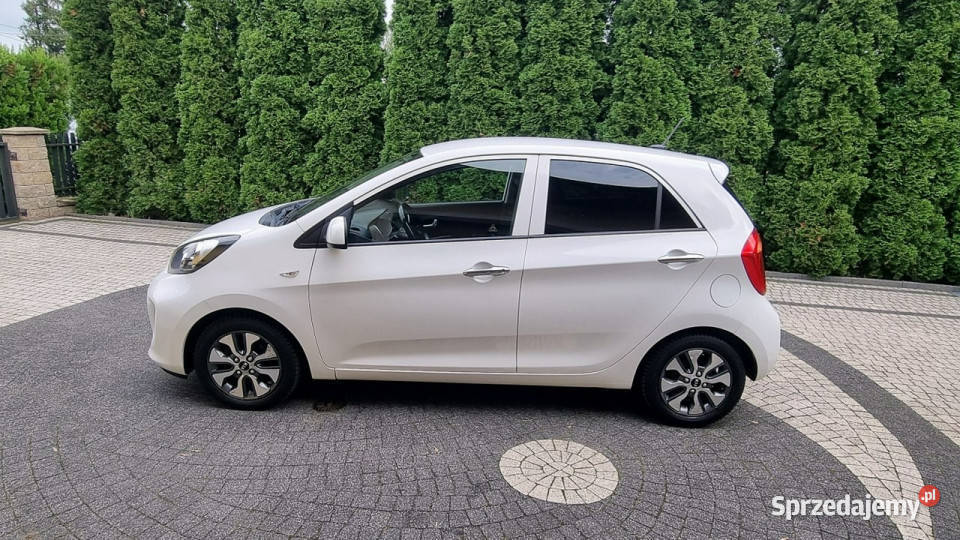 Kia Picanto Navi Kamera Super Stan GWARANCJA Płońsk