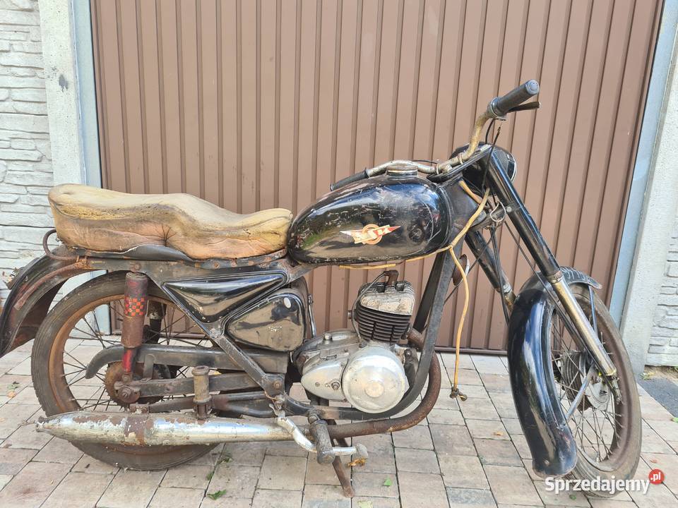 Wsk Z2 Eksportowa żaba Dobra