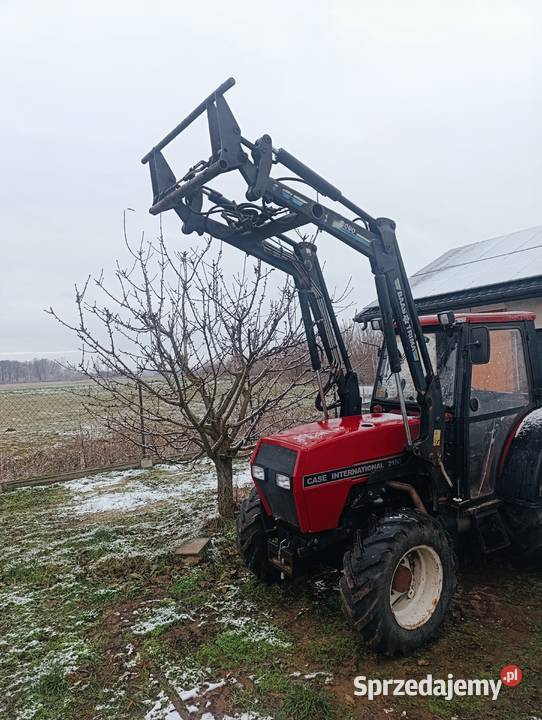 Caiagni sadowniczy mazowieckie Potkanna sprzedam