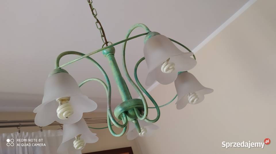 żyrandol lampa wisząca sufitowa wielkopolskie Poznań