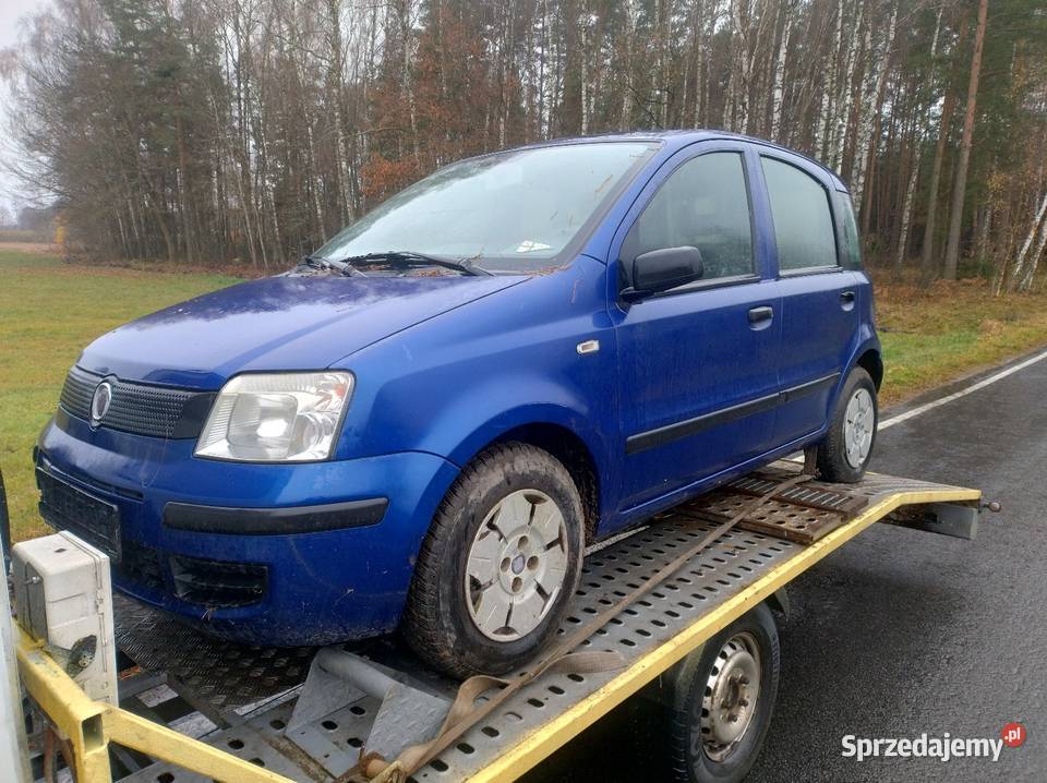 Fiat Panda 11 B 2009 r z Niemiec Bez Rdzy Panda warmińsko-mazurskie Elbląg