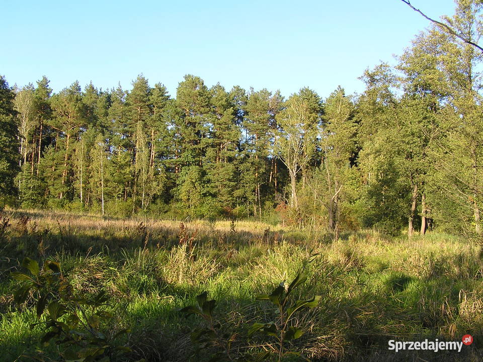Zlecę wykonanie zbiornika rekreacyjnego Holendry