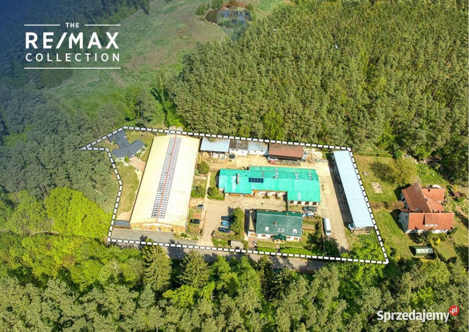 Doskonała okazja koniarzy i nie Zielona Góra