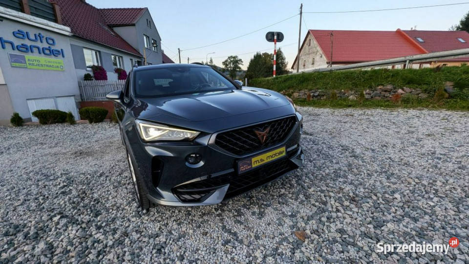 Cupra Formentor Ambiente Grzana Kierownica dolnośląskie Kamienna Góra