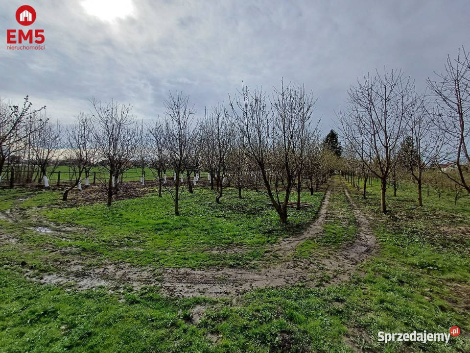 sprzedaży domu wolnostojącego Klepacze 9300m2 mieszkalny podlaskie Grodzisk sprzedam