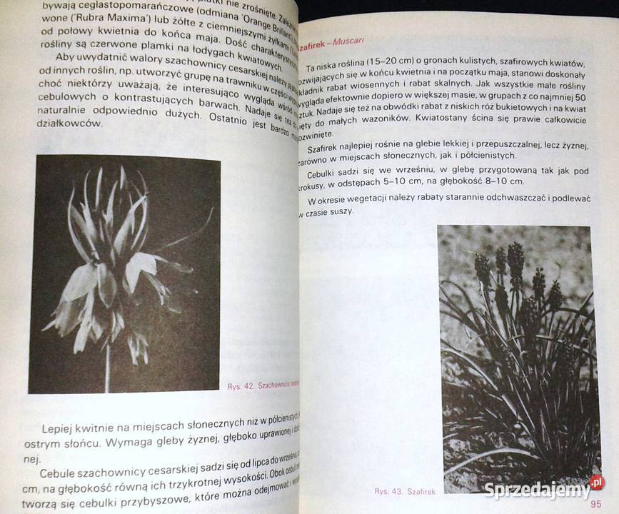 Działka piękny bukiet Izabela Kiljańska Chełm