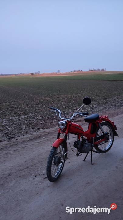 Romet Komar 2352w Lublin