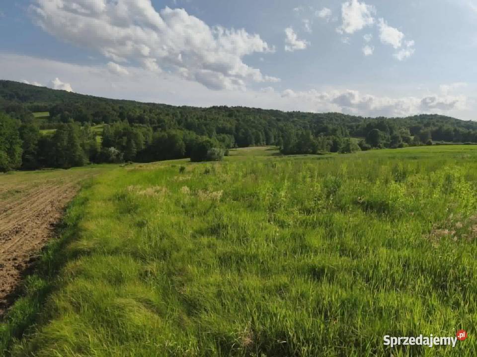 Działka w Lipnicy Dolnej 99 arów Lipnica Dolna