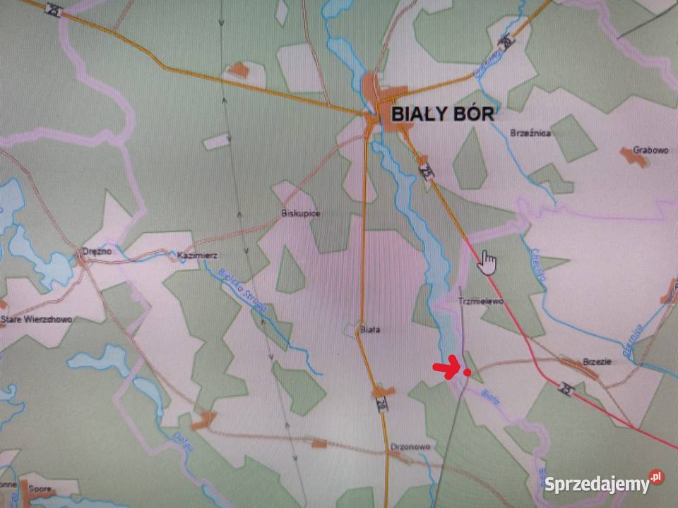 Wynajmę działkę rekreacyjną jeziorem w Brzeziu Brzezie