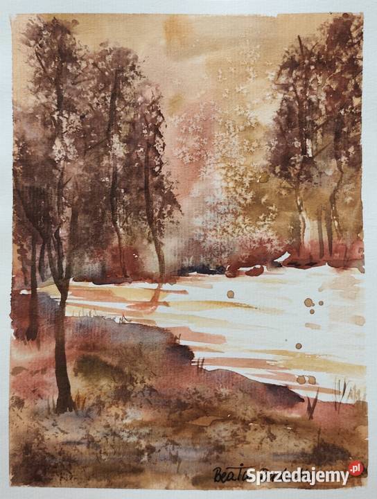 Akwarela Akwarelka Obraz pt Leśny Szmer Malarstwo Opole sprzedam