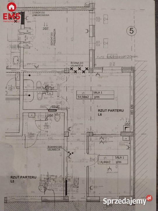 Lokal 77m2 Białystok podlaskie