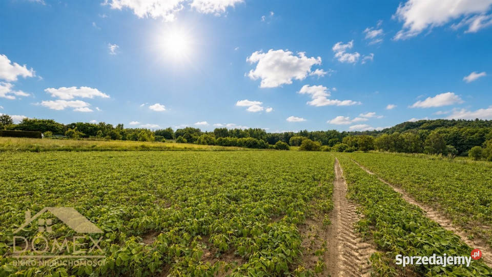 Grunt 7060m2 Skrzyszów śląskie