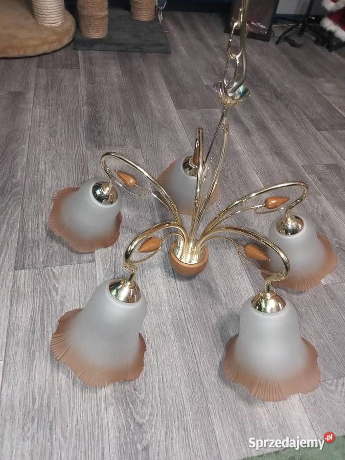 Żyrandol lampa sufitowa 5 żarówek śląskie Bytom