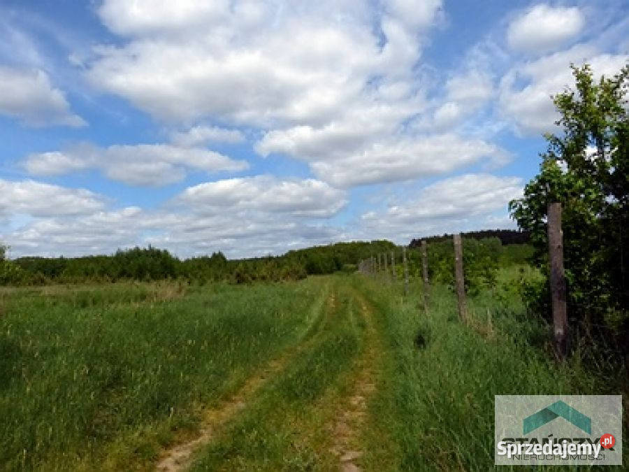 Działka 4500m2 Stawno sprzedam