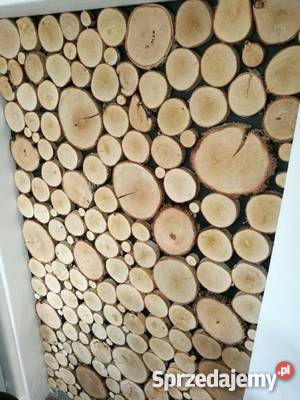 Plastry krążki drewna brzoza szlifowane 1417 śląskie sprzedam