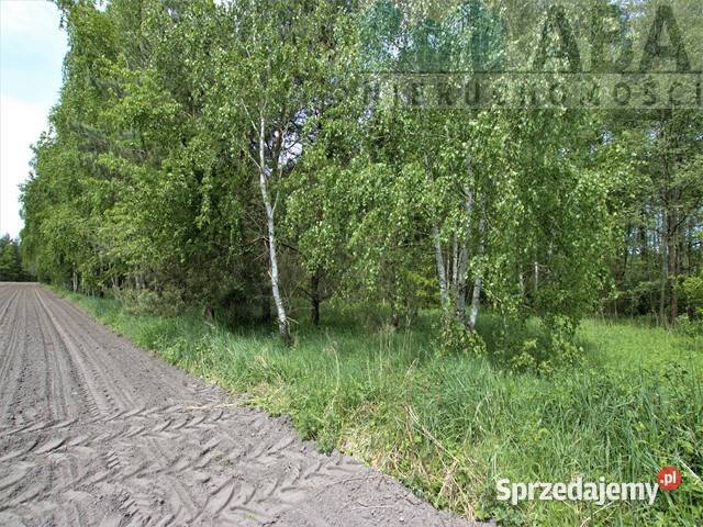 Działki rolne o powierzchni 124 ha Bądków 12400m2 Bądków Pierwszy sprzedam