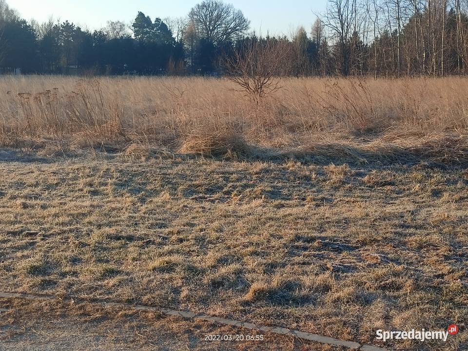 Sprzedam inwestycyjna łódzkie Sieradz