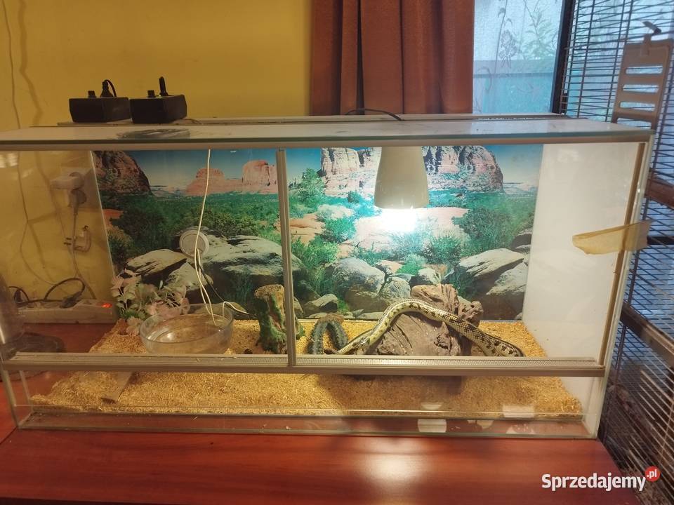Terrarium z Nowy Sącz