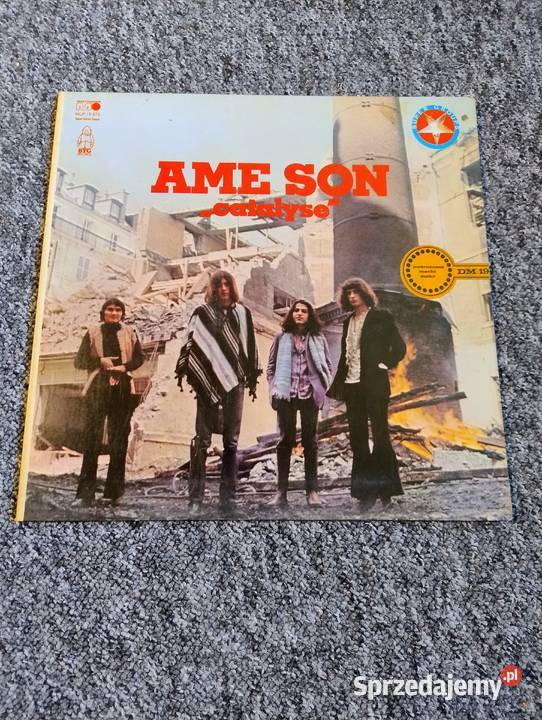 Płyty winylowe rozne gatunki Pozostałe Gdynia sprzedam