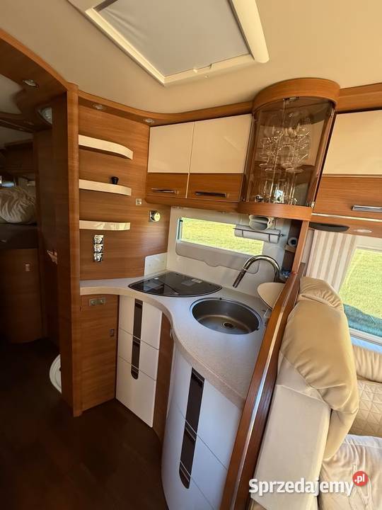 CARTHAGO CLINE CHIC I 49 LE Superior Opole