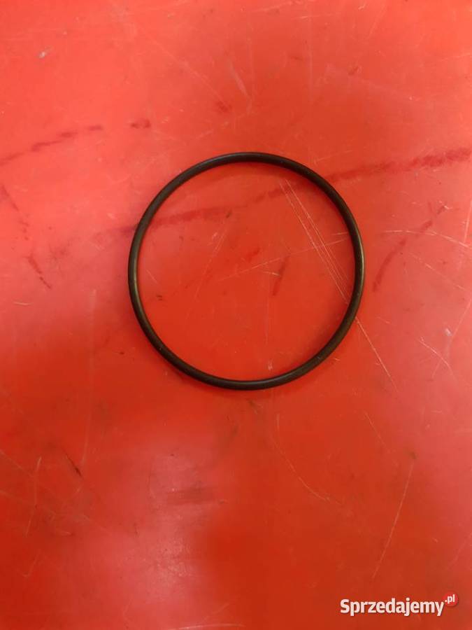 9823571 Pierścień uszczelniający CNH Holland Tylny most Sulechów