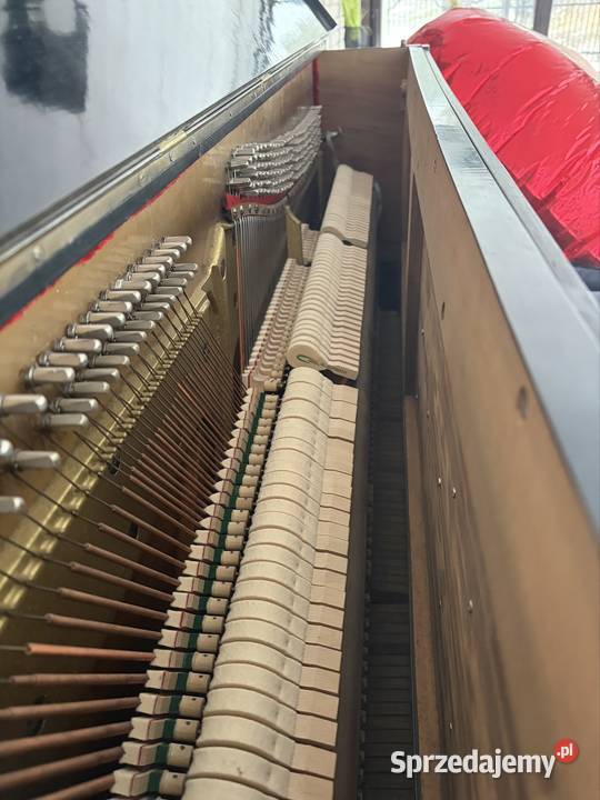 Pianino Hilger w stanie Włocławek