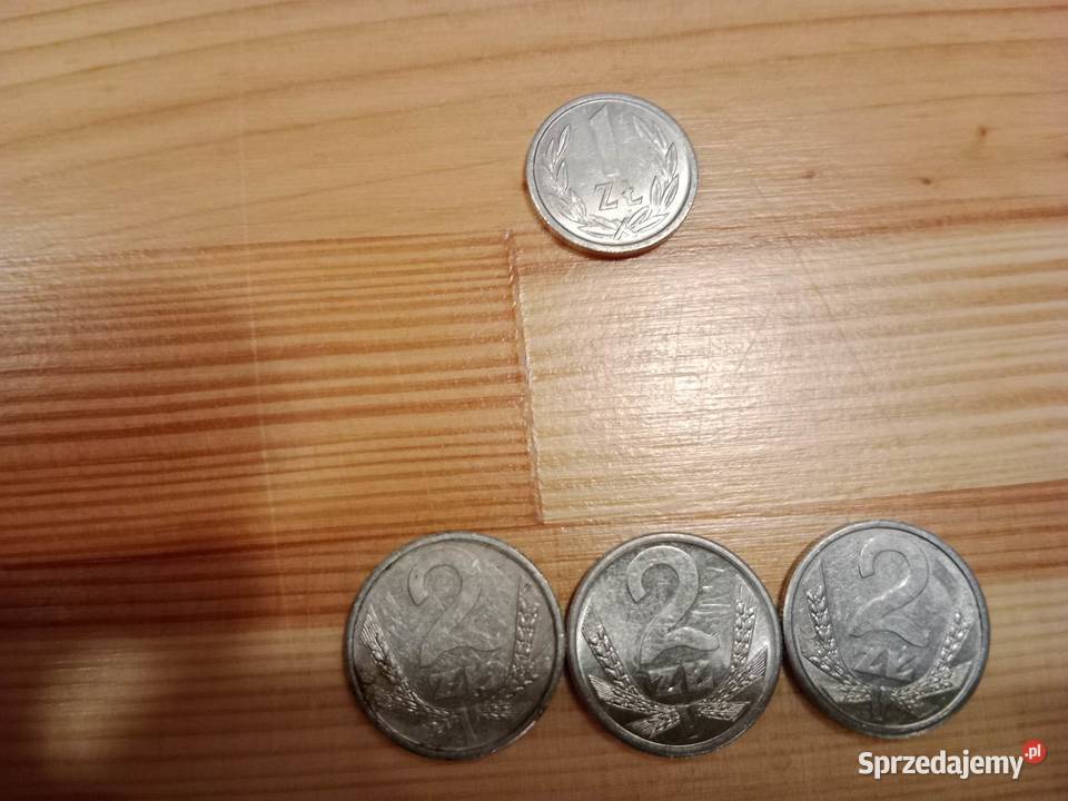 sprzedam Monety Chełm