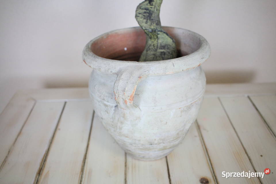 Piękne drzewko donica inny kolor Pszczyna