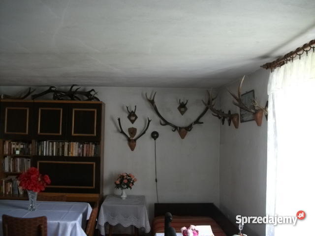 Dom w cichej okolicy mazowieckie sprzedam