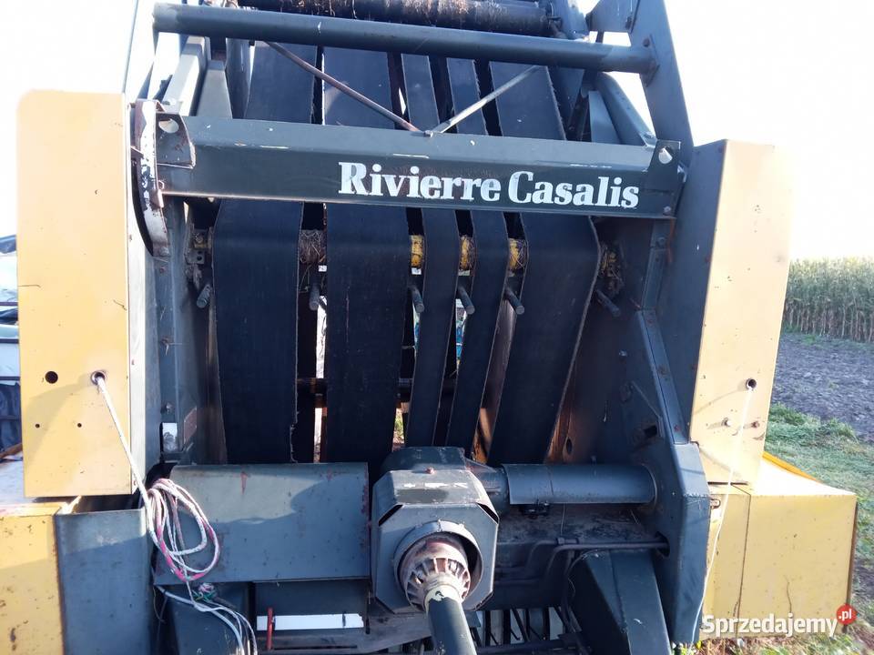 Sprzedam prase Rivieere Casalis RC121 Lipno