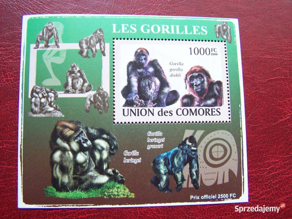 Komory 2009 MNH Fauna Goryle Nakład 2500 Tychy