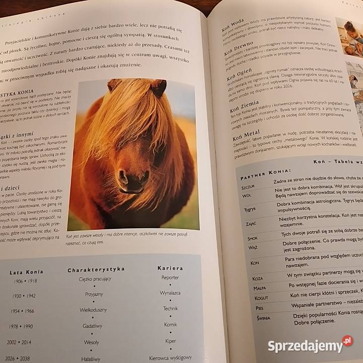 Wielka Encyklopedia Wiedzy tajemnej Bukowno