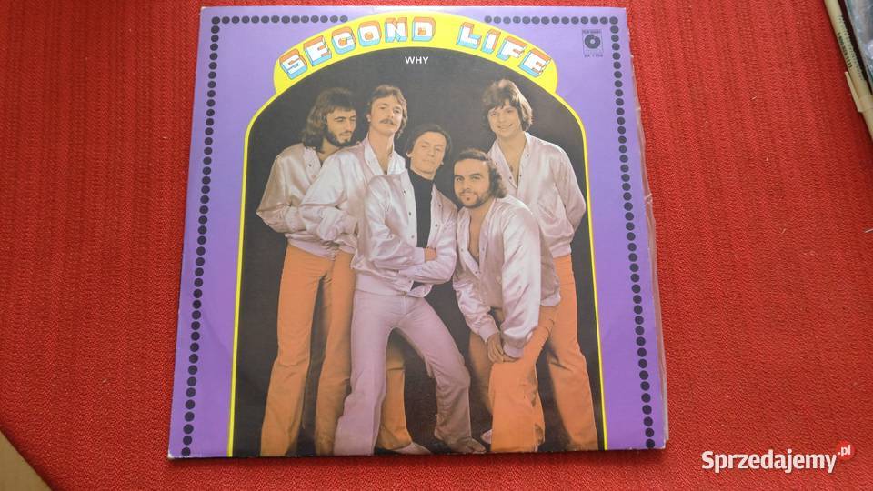 Płyty winylowe Secend Life śląskie Myszków